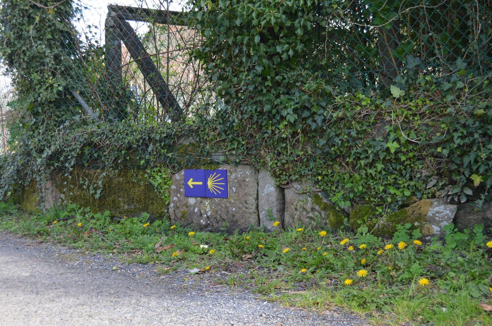 Casa Aurora Villa Teo Eksteriør billede